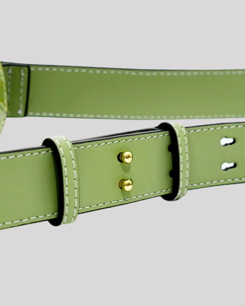 Strap detail of green croc-embossed shoulder bag by Bafelli with gold studs and reinforced stitching